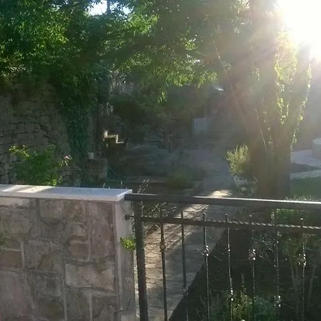 Dalmatian House