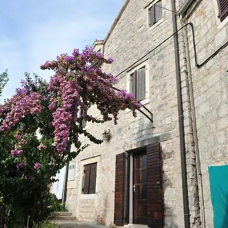 Dalmatian House Apartment