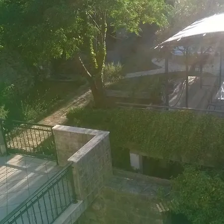 Dalmatian House *