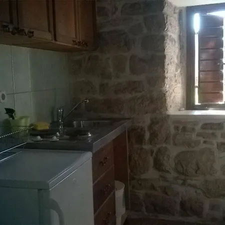 Dalmatian House